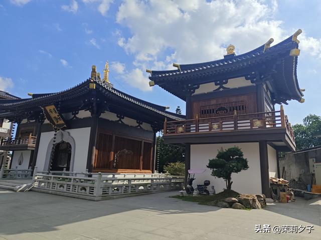 福鼎市区一日游：从白茶发源地到市井小吃赏唐风建筑品山海韵味