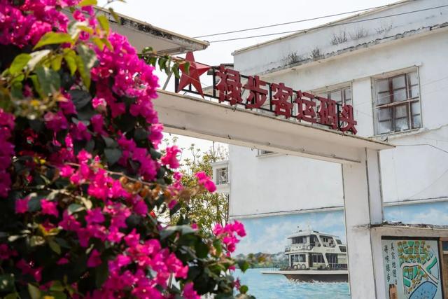 肇庆的“悦禄小双”西江沿岸精品示范带，是一条什么带？