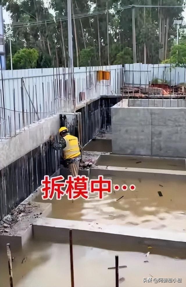 全红婵家建房最新情况：施工受阻，邻居仍不肯砍树，现场照片曝光