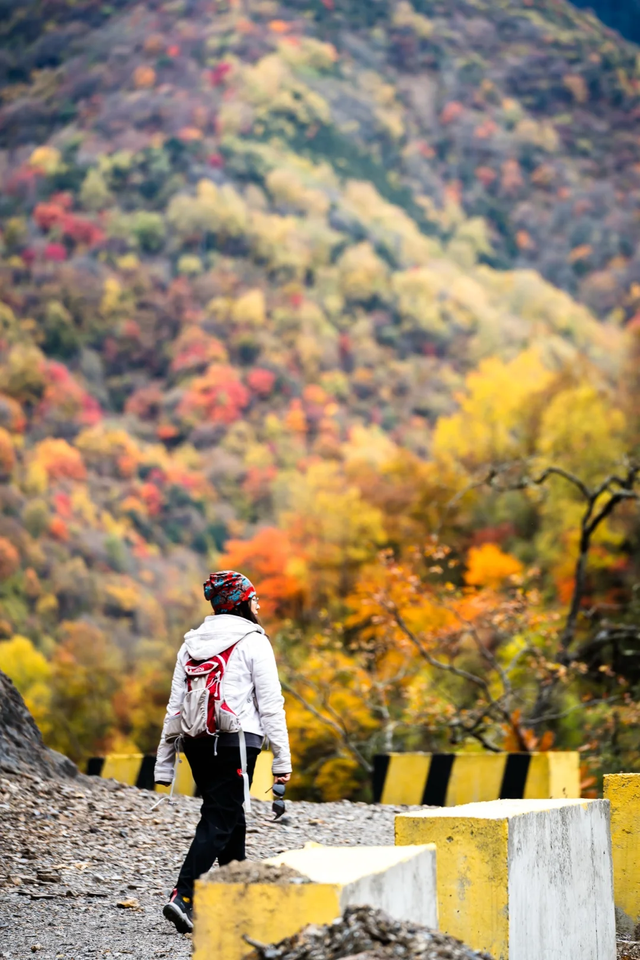 比光雾山好看，比米亚罗便宜！成都4h直达小众彩林0门票，红遍了