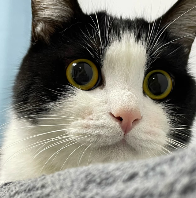 手机被1.4万张照片撑爆	，我才明白这个道理