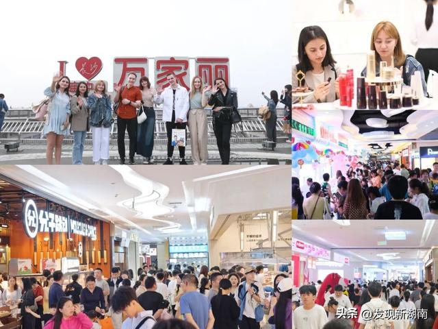 万家丽国际大酒店把“森林”搬进客房 多元业态唤醒城市旅居新想象