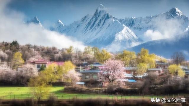 下月即将开爆！这才是 “中国最美春天”，一年仅20天可遇！