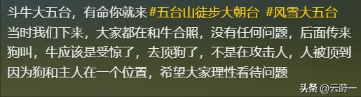 游客徒步遭牛群踩踏后续：景区回应，真相曝光后，网友直呼太活该