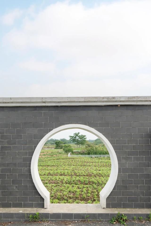 稻香居：她用一院的热爱，唤醒沉睡的故乡