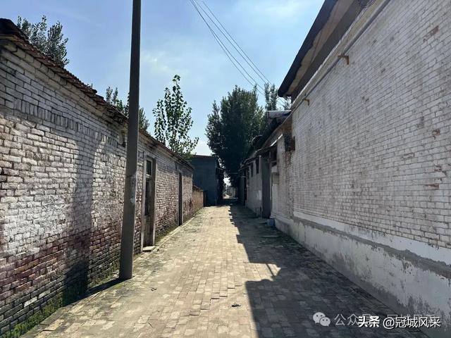 冠县乡韵·兰沃乡大柳邵村