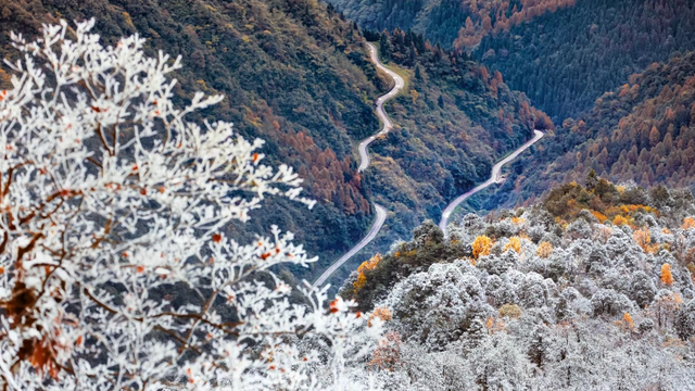 四川人盼初雪的心情谁懂！