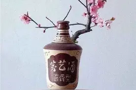 家里的“空酒瓶”别扔，随手一整，就是一个盆景花盆，比买的好看图片