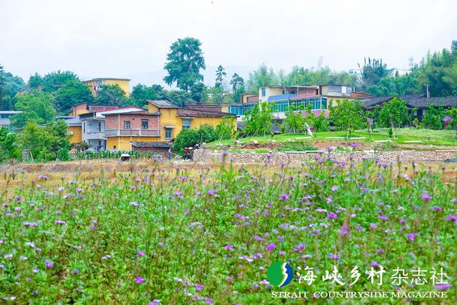【金牌旅游村】福建｜三元区小蕉村：村在景中 景在村中