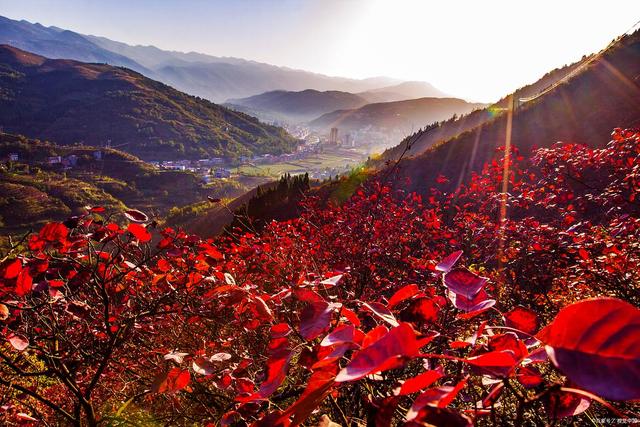 河南人都爱去的云台山，到底凭什么火遍全国？