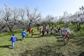 西安人去哪儿过春天？不信你都去过～图片