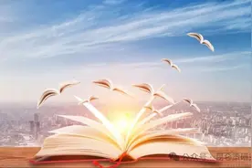 王今朝：思辨《新结构主义经济学思与辨》图片