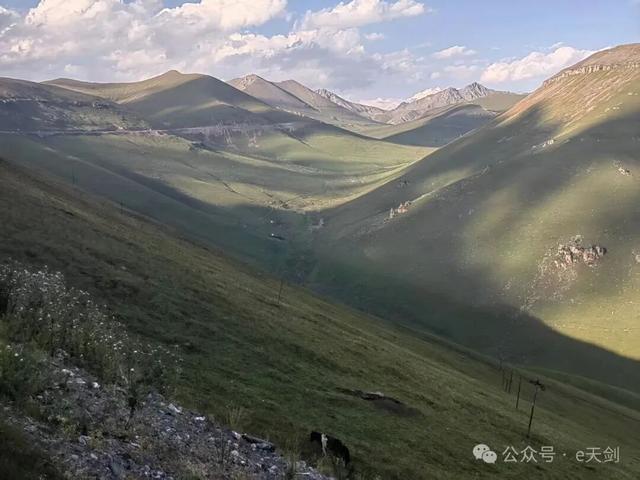 新疆“西施”，美翻天！