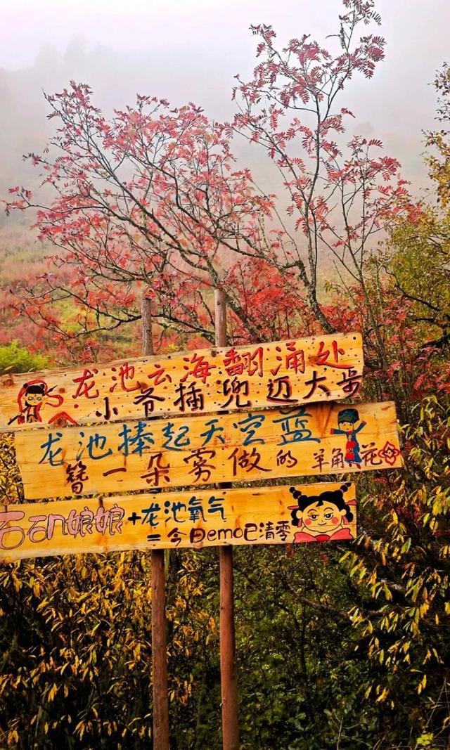 绝美秋色即将上线｜汶川的秋天，不加滤镜都美醉~