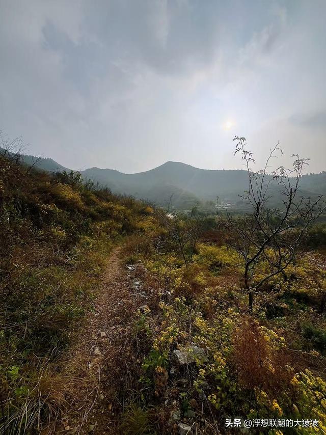 老姑峪的大寨没寻着，误打误撞跑去了张家台的麒麟寨（莱芜游）