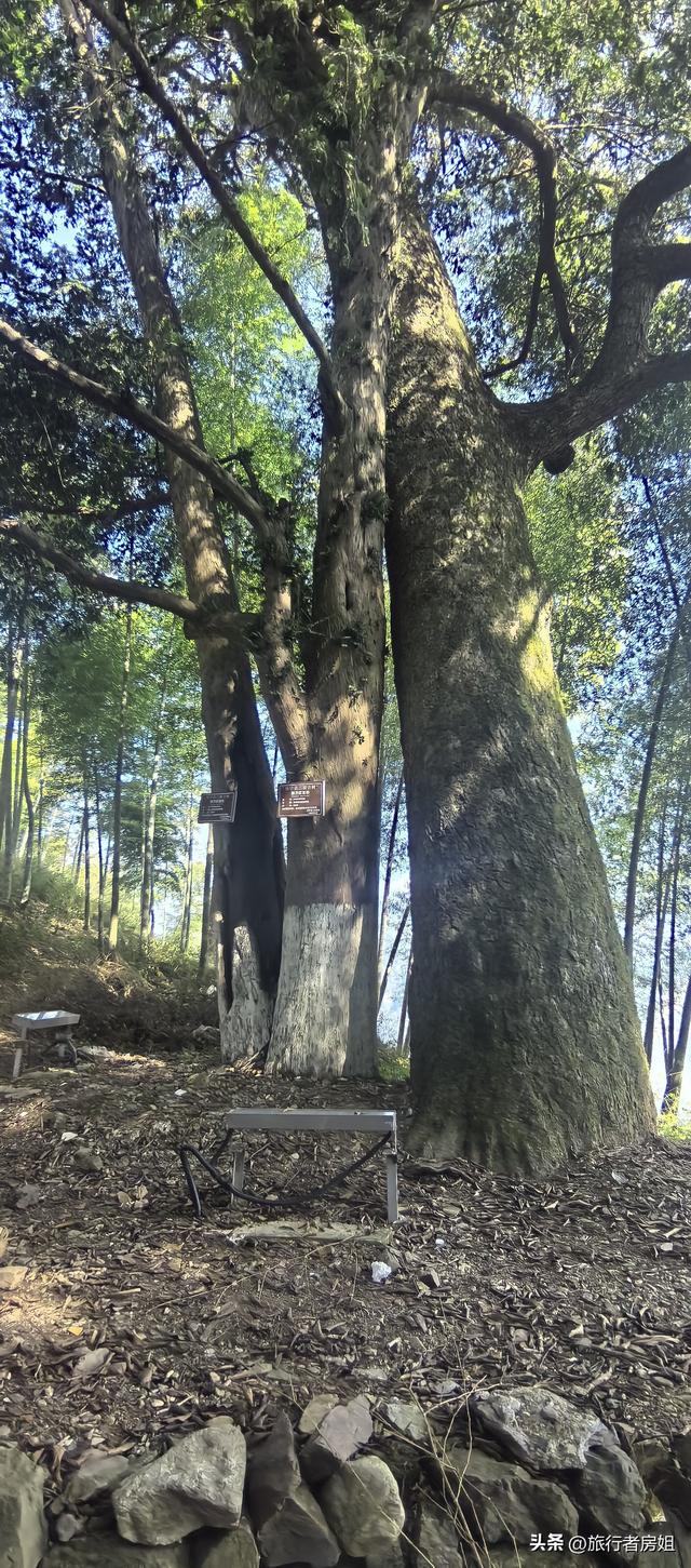 一条古道从浙江到安徽，全程经过三个古村落