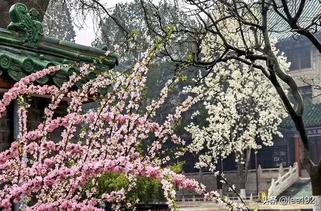 细赏王府系列之—雨中协和（49）《13》