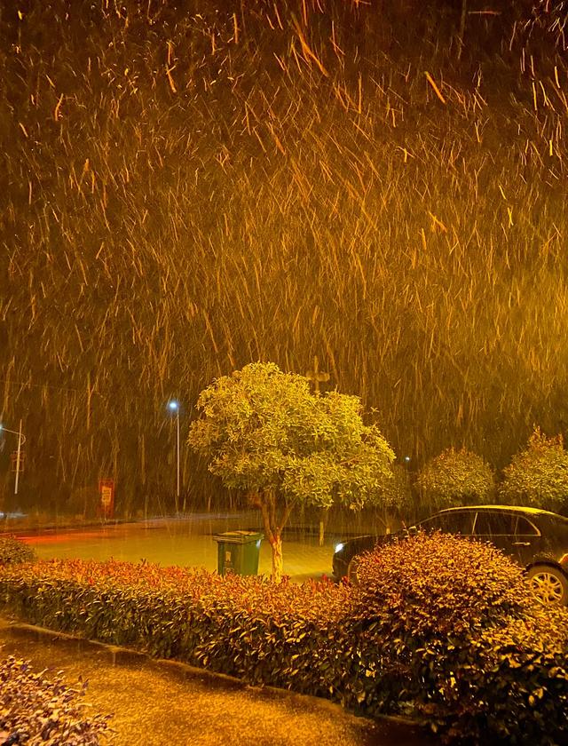 湖北也下雪了！武当山迎来今秋第一场降雪