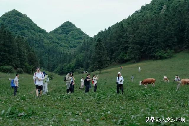 这5个宝藏避暑地，白天耍水、晚上盖被子，本地人都私藏！