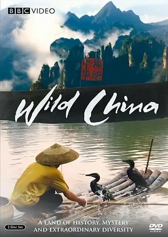 人为什么要旅行？这10部高分纪录片就是最好的回答