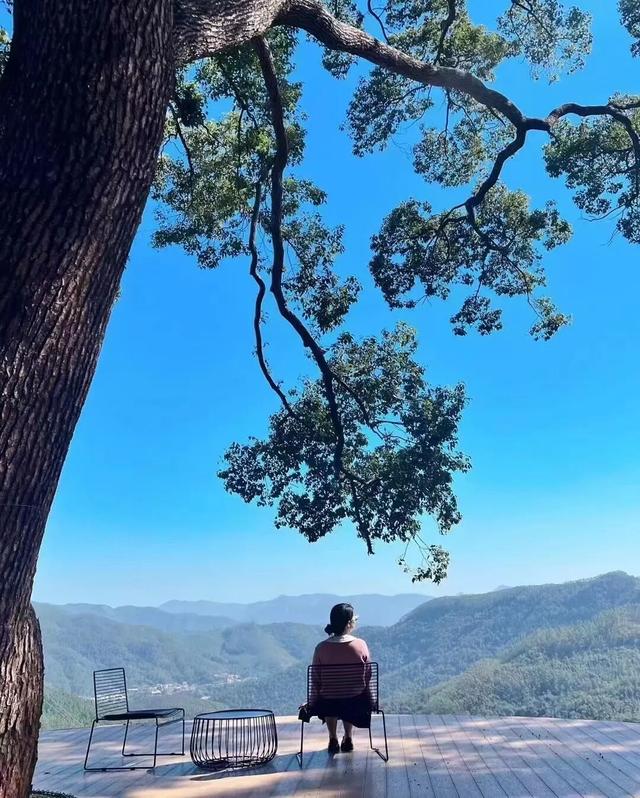 即将开幕！南安这里的芦柑，承包你的秋日甜蜜
