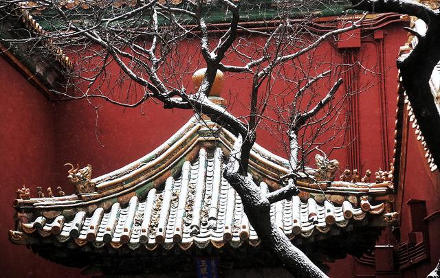 京城初雪拂过紫禁城的每一个角落 故宫红墙金瓦变身童话仙境