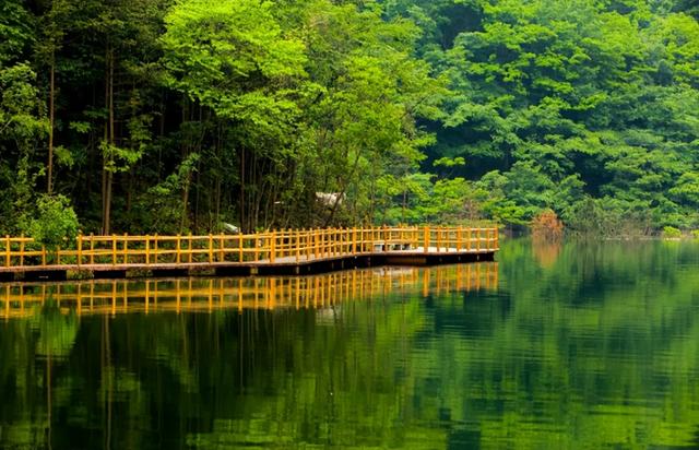 河南“天然空调房”里，来场“森呼吸”！