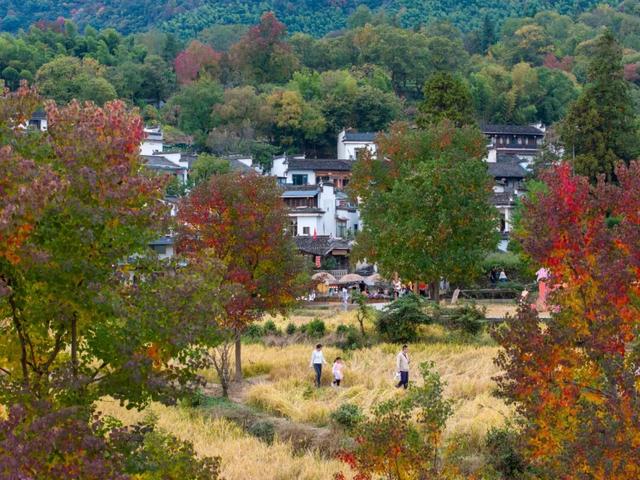 黟川秋叙·徒步沐泉寻画境——3天2夜康养之旅 | 皖美冬日 | 第十五届安徽国际文化旅游节
