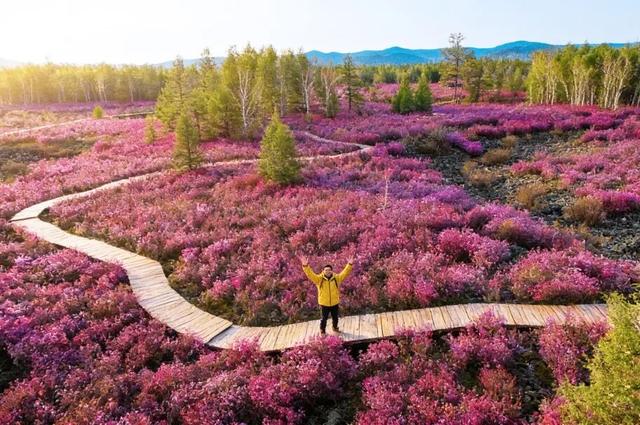 还没结束的花事，槽点太多了！