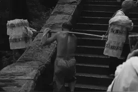 读了《骆驼祥子》才明白：底层人民必须知道的3条生存准则图片