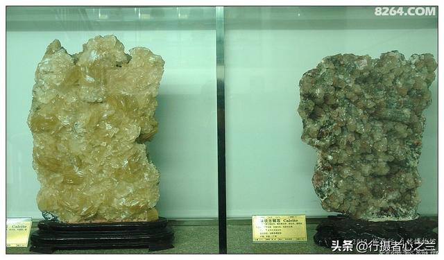 山东行游影记（31）—平邑天宇自然博物馆（六）