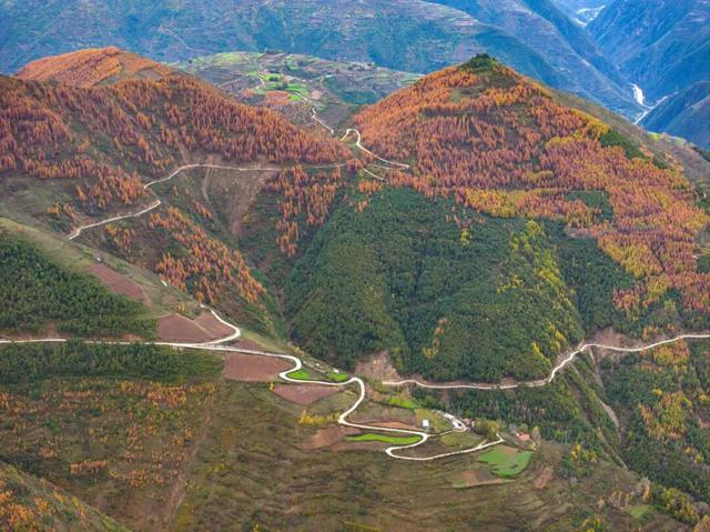 毛羽山，万亩松林鎏金。