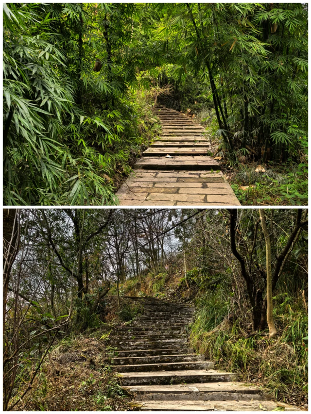 20元住一晚包三餐的小众千年古寺，就在成都1.2h直达的这里！