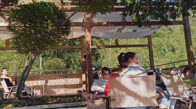 郁郁银杏无非般若，青青溪石尽是法身：宜春南惹古村印象（聂朋