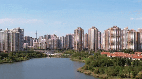 秋之丰硕・秋天没去津门湖，你错过了什么？