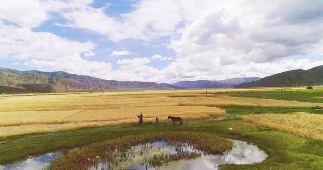 秋日西藏限定美景上线！摄影师私藏机位，拍出无敌风光大片