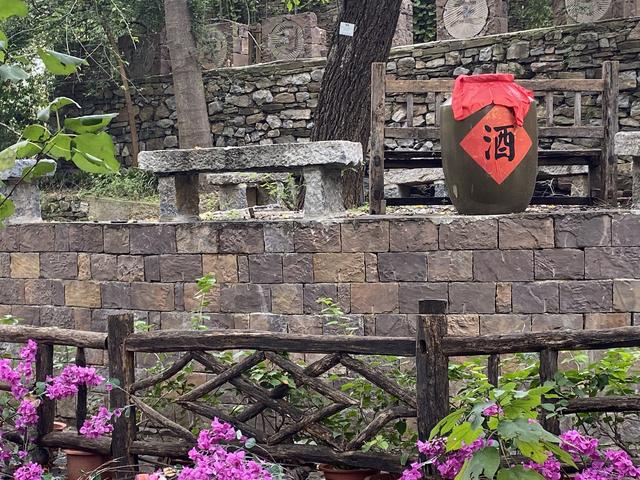 压油沟：山水间的千年秋声