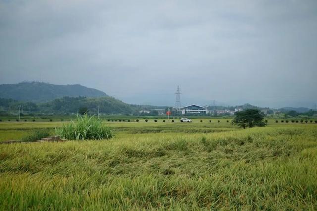 永远去不腻的目的地，她能排在前三名