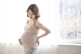 孕期乳房的六种奇妙变化，你了解吗？图片