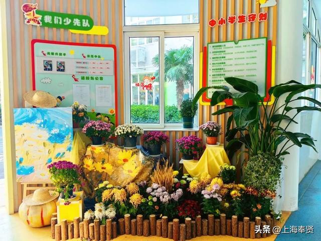 奉浦校园初冬美景大赏，你家娃的学校藏着这样的冬日浪漫