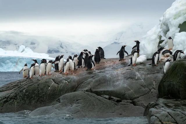 一生一次，2027年出发！41天南极半岛包船登陆，南美4国狂野自驾