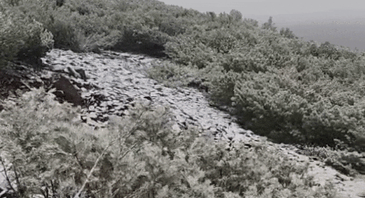 多地迎来降雪天气！