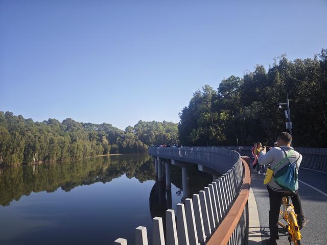 龙华新“骑”点，奔向2026骑行随拍1129