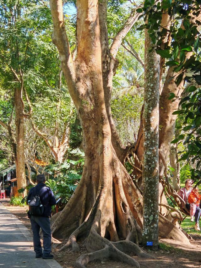 在植物园里寻找哲理