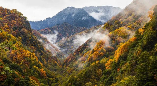 广元不远 周末优选 | 秋天的第一场旅行，坐高铁来广元“晒”秋吧！