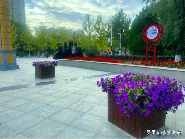 永登：金秋花景盛 国庆氛围浓