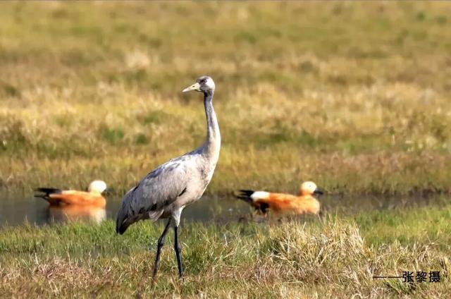 滇超联赛 | 到保山除了zhuá足球，还可以……