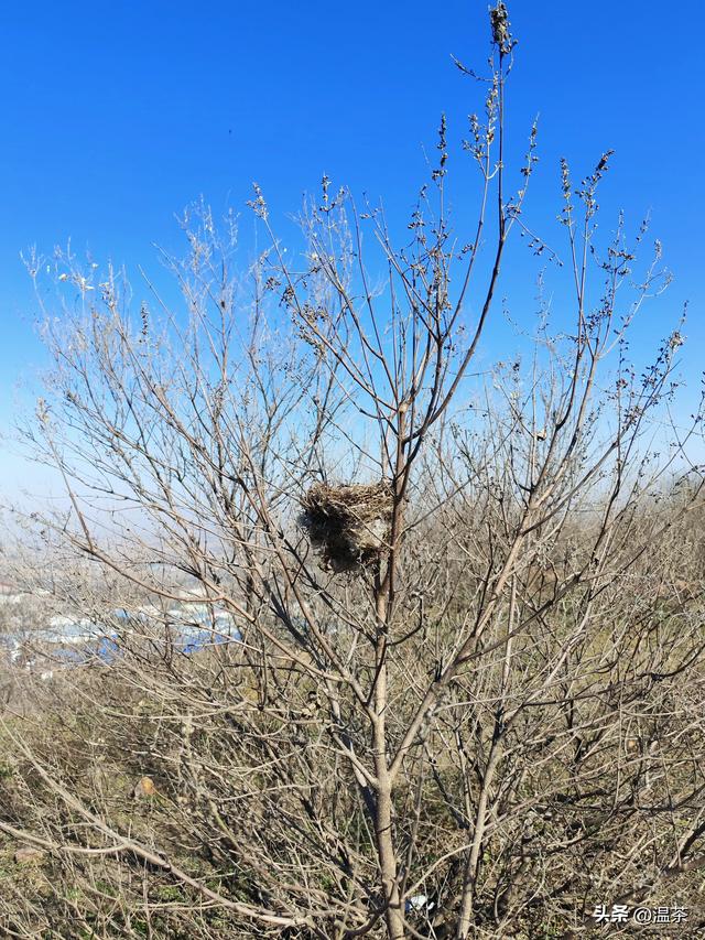周末登山---红山寨