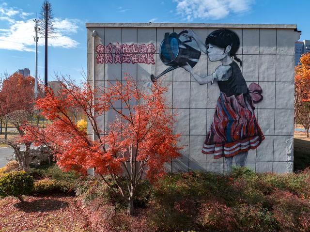 常青公园全面开放露营区域，市民可享“红叶树下”悠闲时光