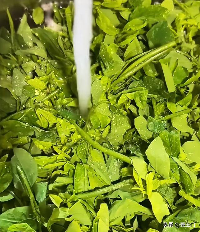 冬至过后使劲吃，一清肝排毒	、二助眠、三护眼	，清新脆嫩，别错过